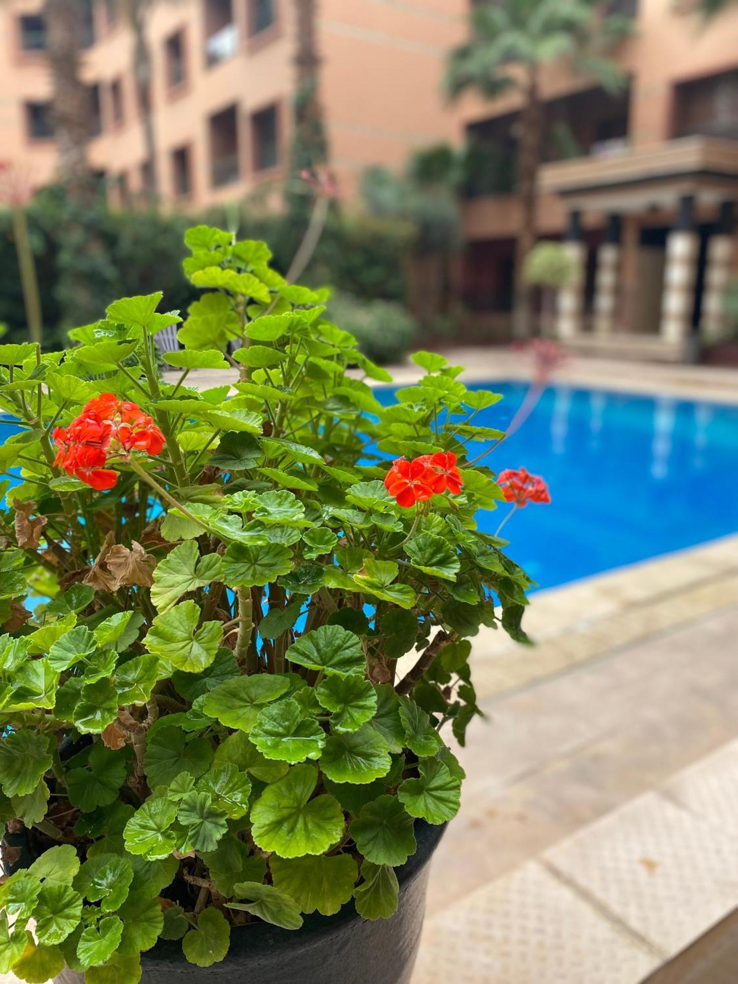 Residence Caprice Palace Hivernage Marrakesz Zewnętrze zdjęcie