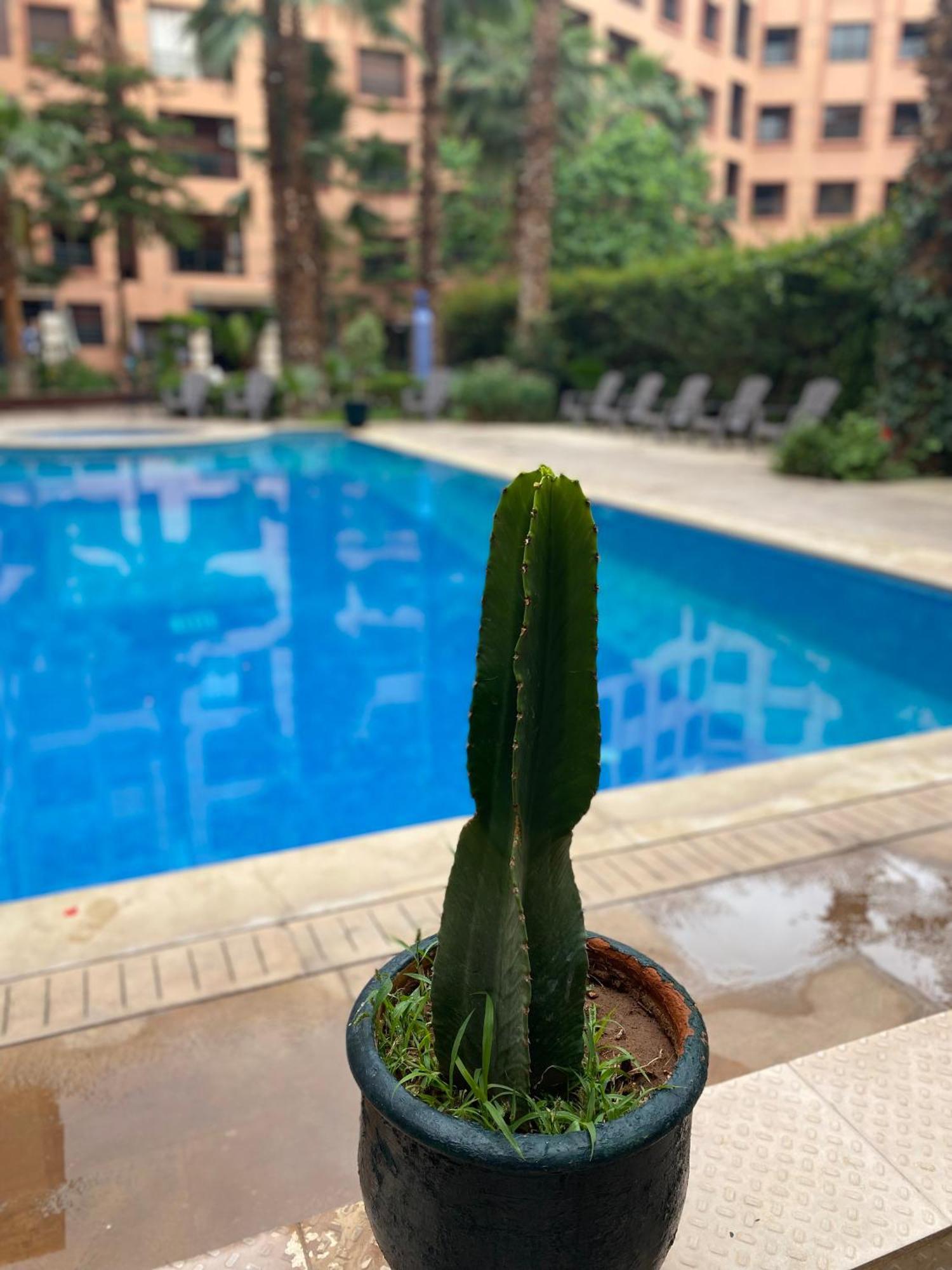 Residence Caprice Palace Hivernage Marrakesz Zewnętrze zdjęcie