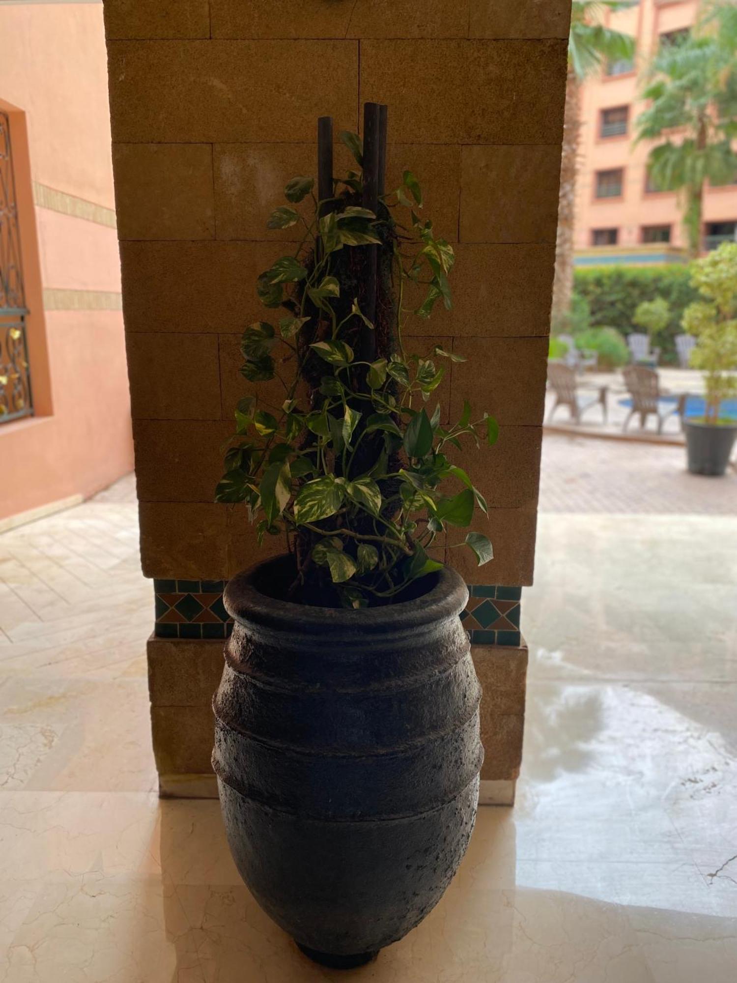 Residence Caprice Palace Hivernage Marrakesz Zewnętrze zdjęcie