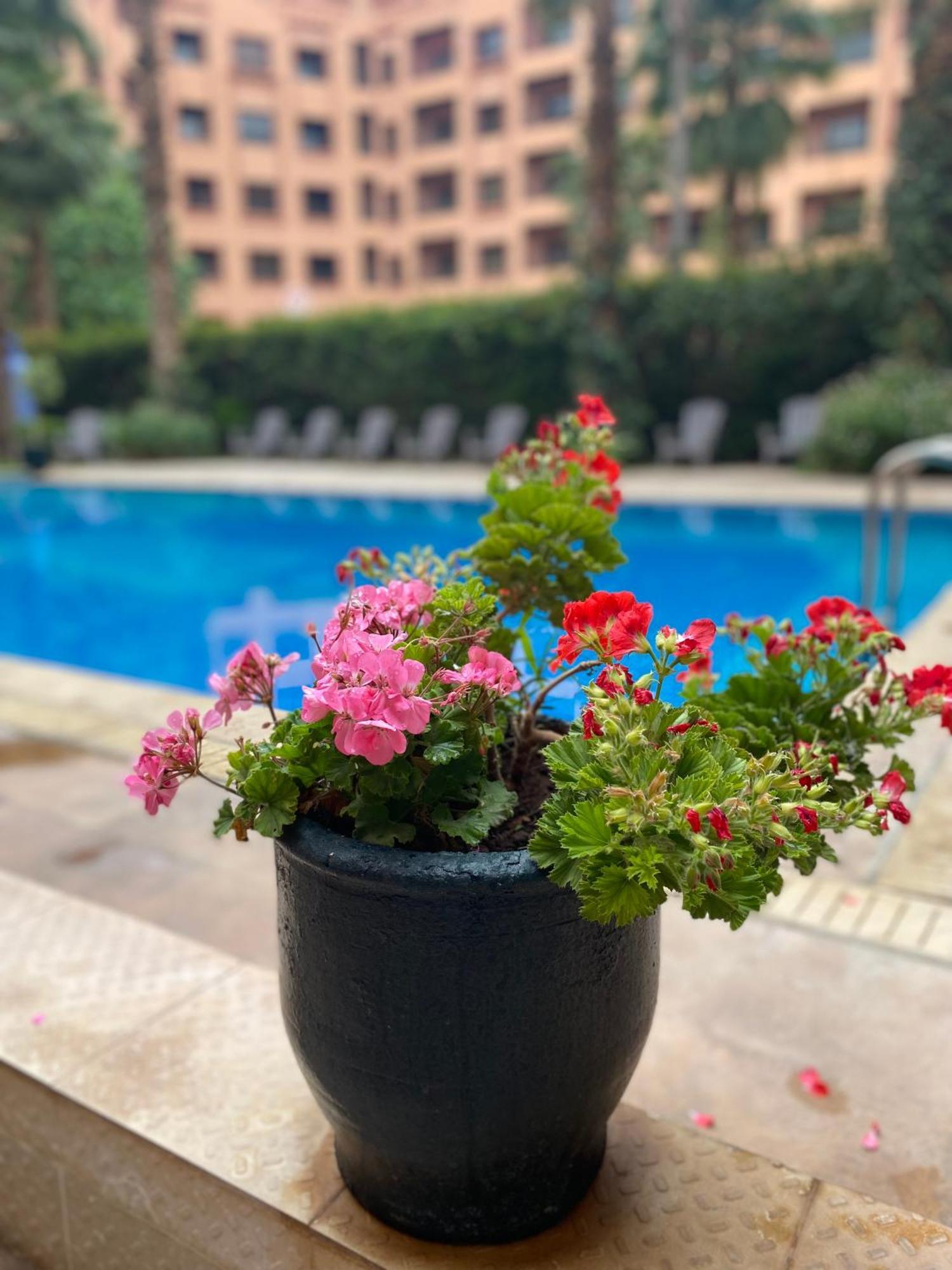 Residence Caprice Palace Hivernage Marrakesz Zewnętrze zdjęcie